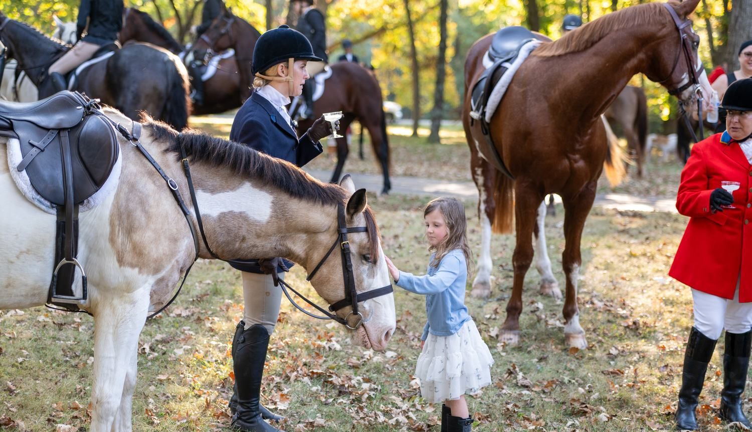 A child reaching up to stroke a horse on the lawn