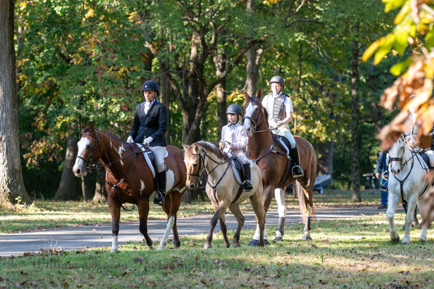 Equestrian Portrait Days